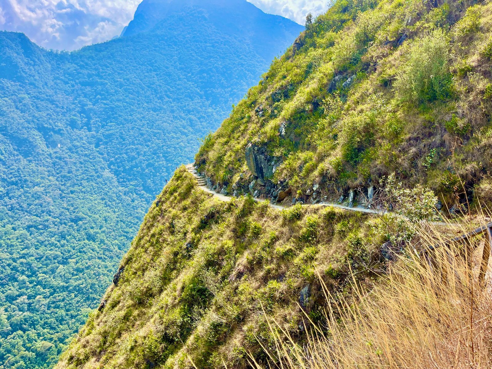 We’re going on a Peruvian Odyssey!